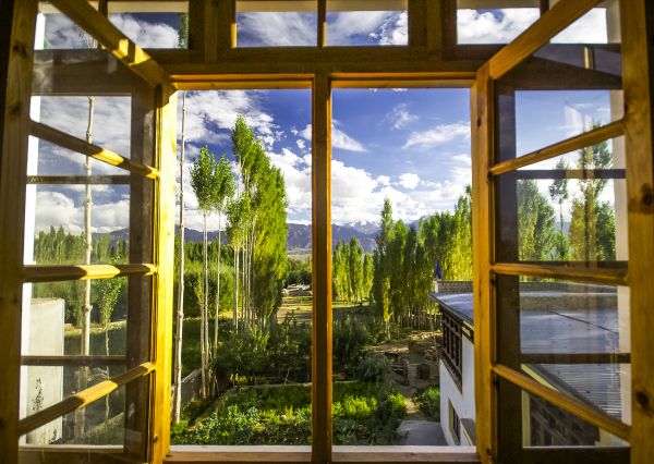 Wood Window Replacement in Wichita Falls